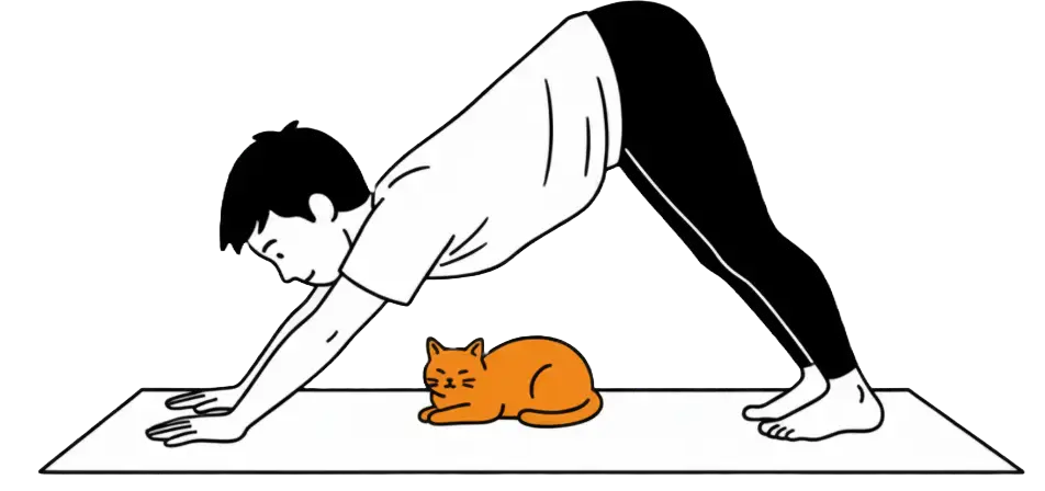 요가 매트 위에서 다운독 자세를 취하는 사람과 얌전히 앉아있는 고양이. 30대 웰니스 및 운동.