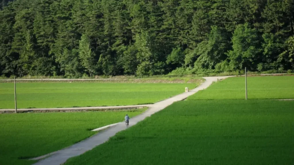 푸른 논밭 사이의 시골길을 자전거를 타고 달리는 모습
