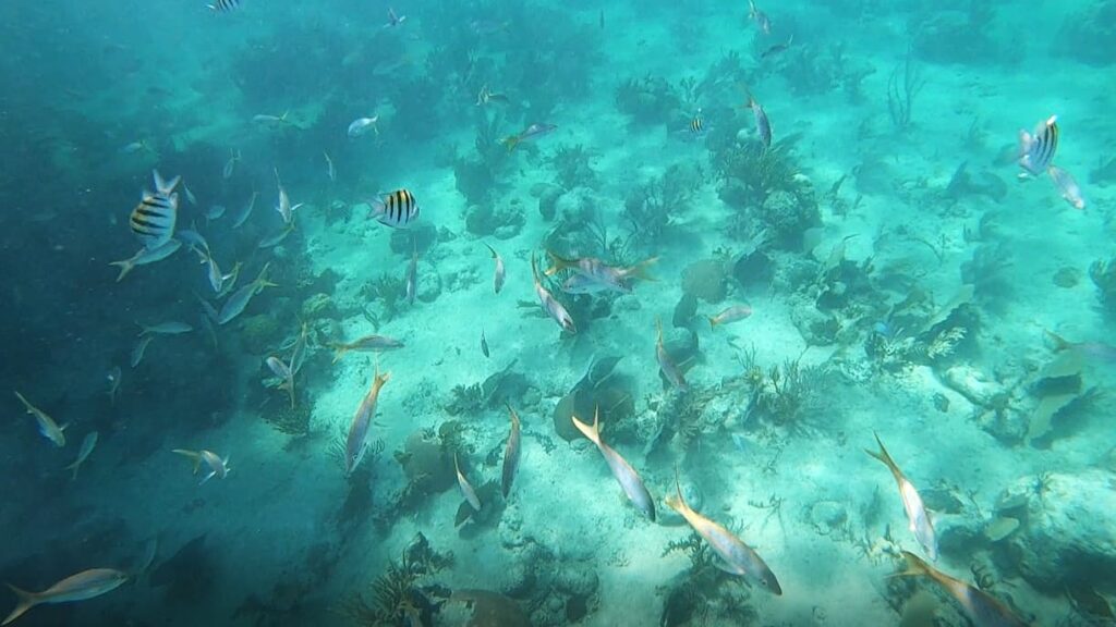 인적이 드문 쿠바 트리니다드의 맑고 푸른 해변, 앙콘 비치