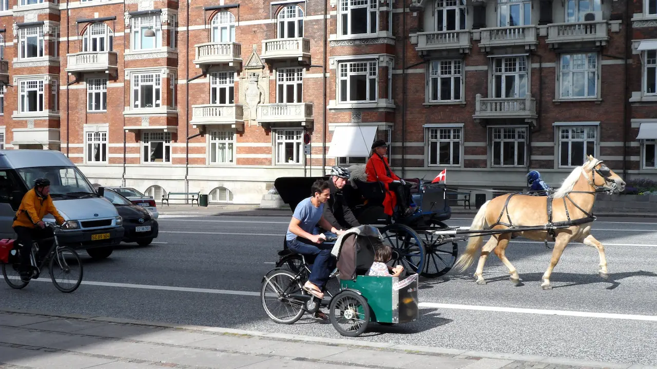 저속노화 (Slow Aging) | 덴마크 코펜하겐에서 배운 5가지 웰니스 비결 (식단, 휘게, NEAT)